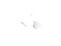 expo-2017